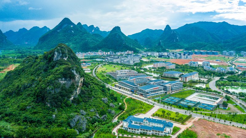汽车继电器：揭秘其核心原理与选购要点**